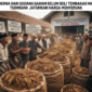 Gambar ilustrasi: Sampoerna dan Gudang Garam Belum Beli Tembakau Madura, Tudingan Jatuhkan Harga Menyeruak.